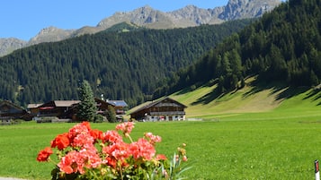Jardines del alojamiento