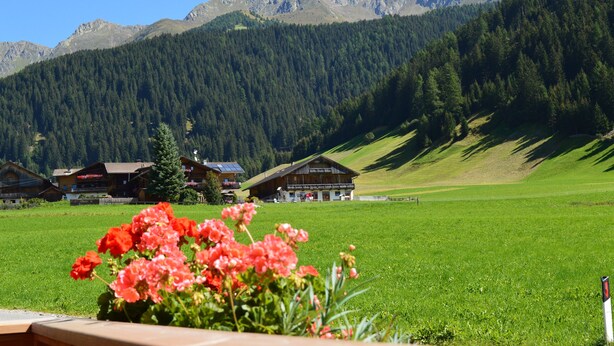 Paesaggio montano con un prato verde, edifici in legno e cielo sereno.