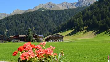 Àrea exterior de l'allotjament