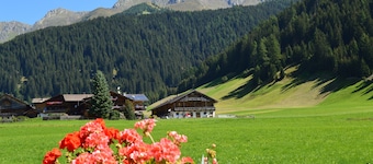 Holiday Apartment 'Feldererhof Gsies Apt Alpenrose' with Mountain View, Garden & Wi-Fi