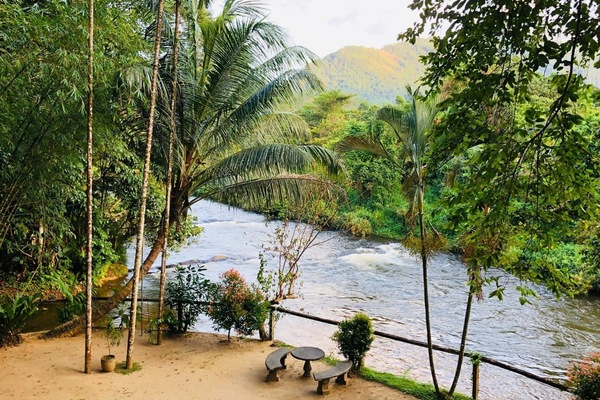 Garden view