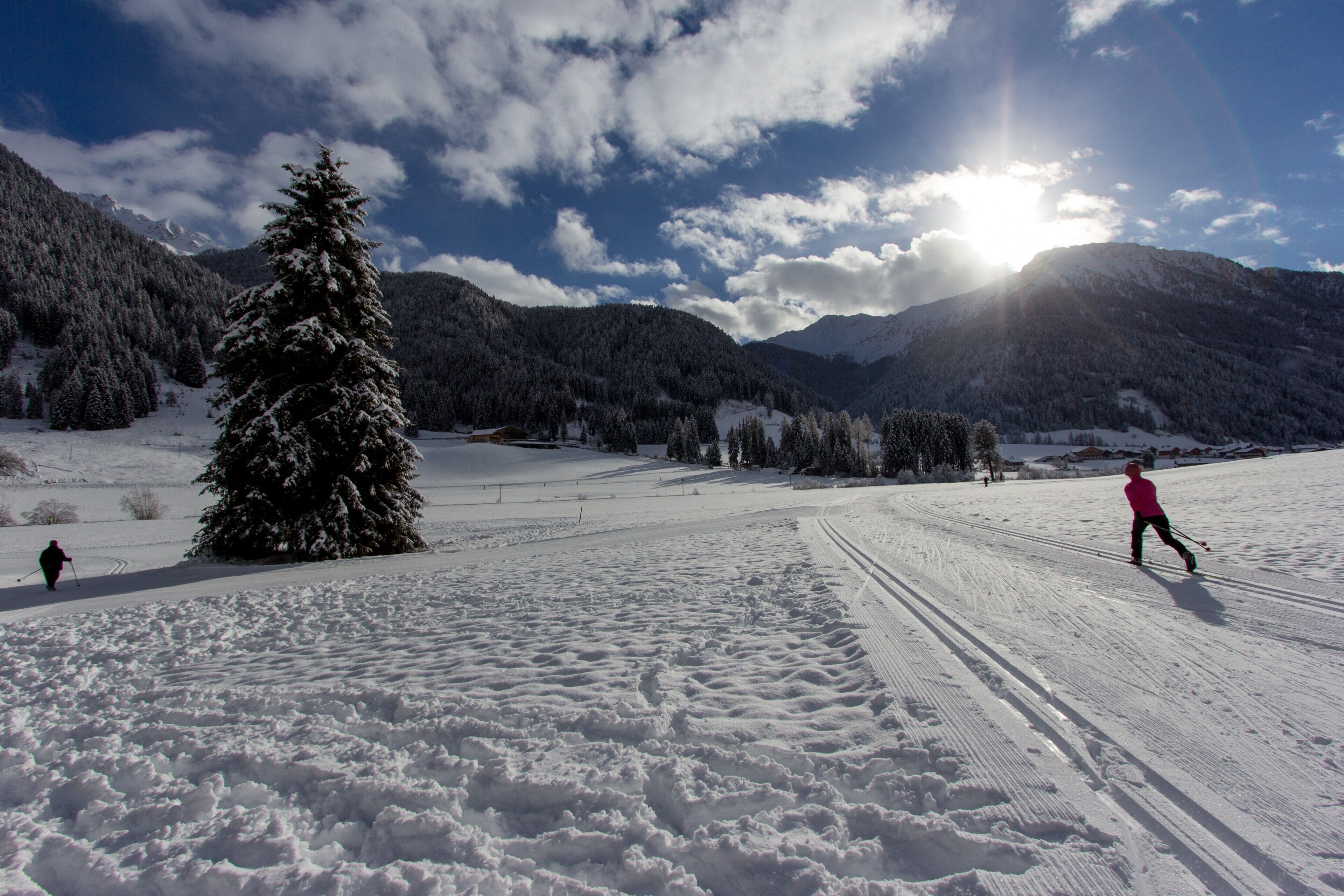 Un paysage enneigé sous un ciel dégagé, une personne faisant du ski et un grand arbre à feuilles persistantes.