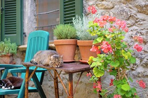 Terrain de l’hébergement 