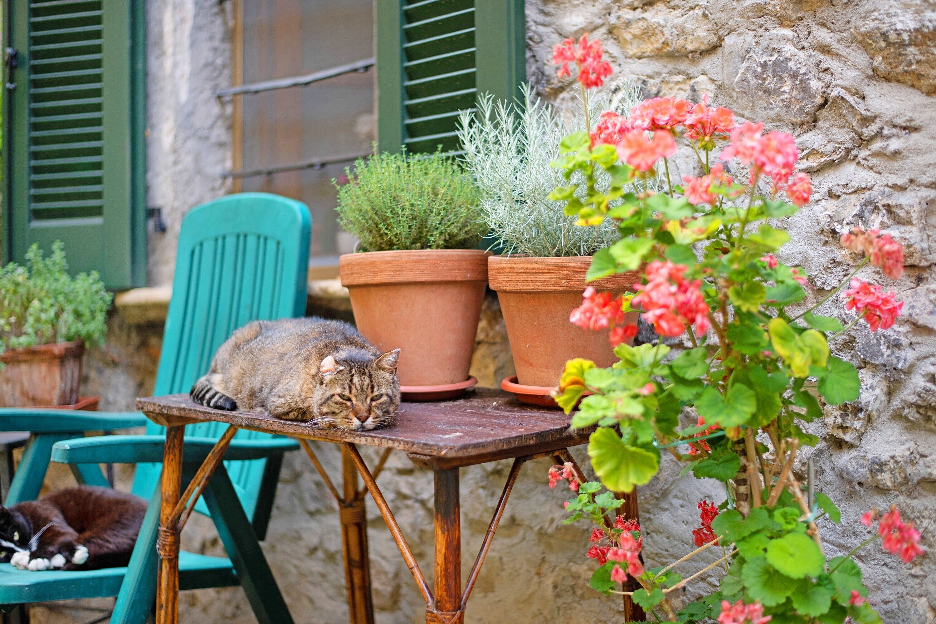 Enceinte de l’hébergement