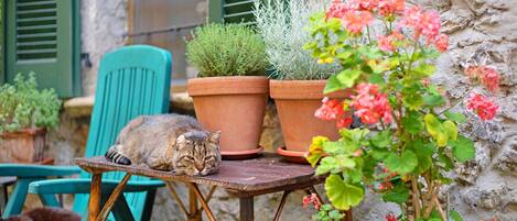Áreas de la propiedad