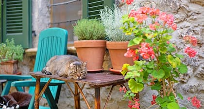 Workation Castle: Casa Galbiga