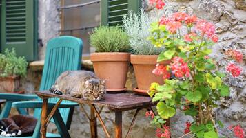 Áreas de la propiedad