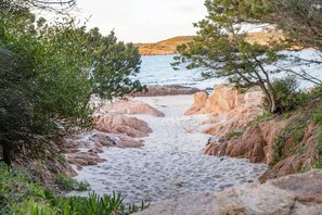 Ein Küstenpfad mit felsigem Gelände und Vegetation.