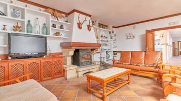 テレビ、暖炉、DVD プレーヤー、卓球台