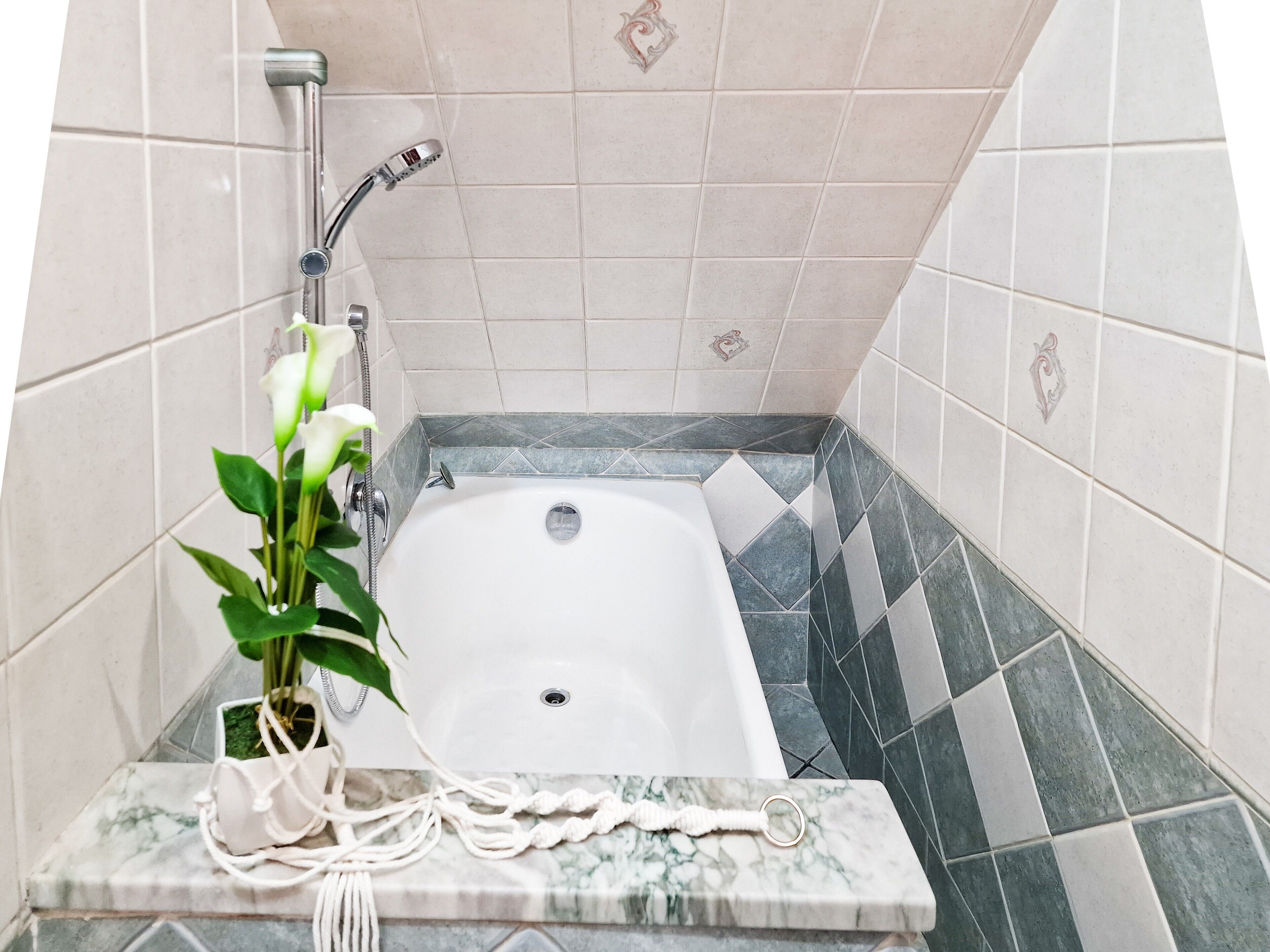 Un bagno con vasca, doccia, lavabo in marmo e una pianta in vaso.