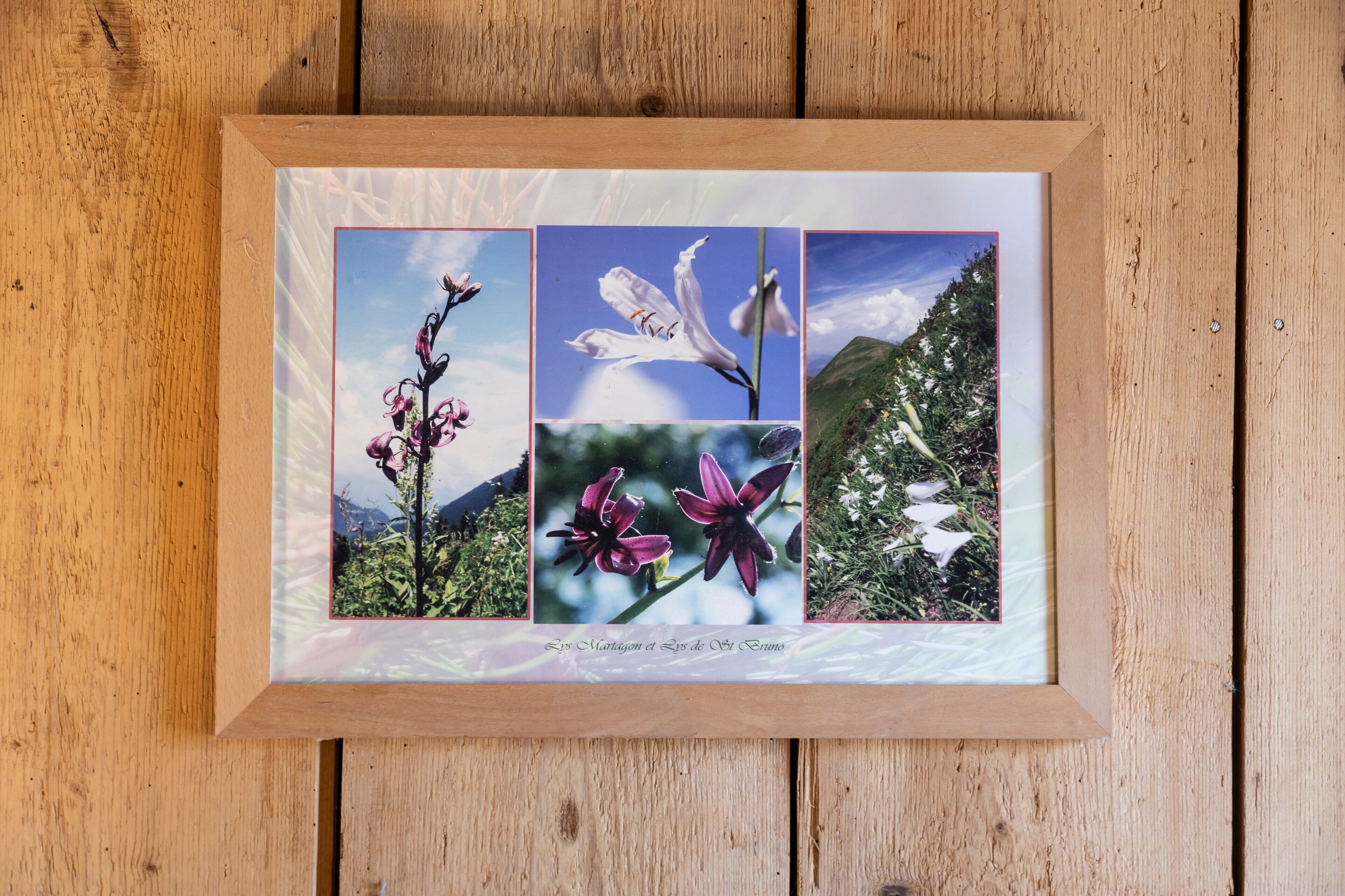 Une photographie encadrée de fleurs, posée sur une surface en bois.