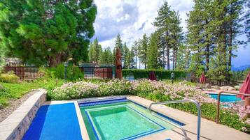 Relax by the serene pool surrounded by lush greenery and tall pine trees.