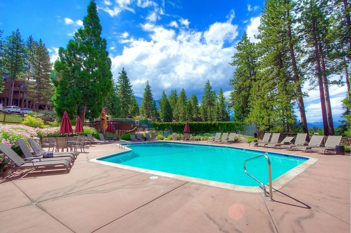 A swimming pool with lounge chairs and umbrellas, surrounded by tall trees and a clear sky.