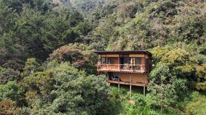 Panoramic Cabin | Minibar, individually decorated, individually furnished, free WiFi