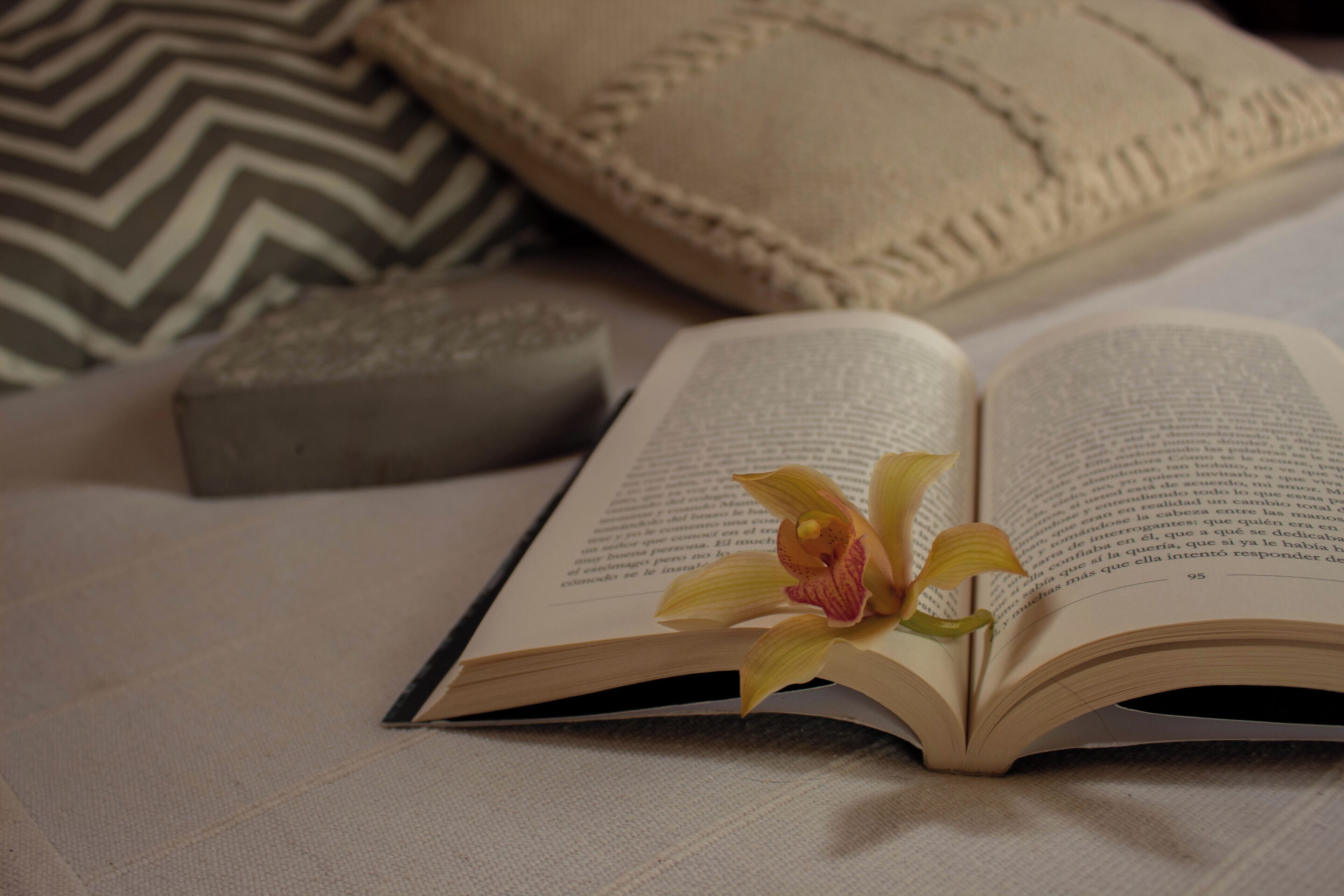 Ein offenes Buch mit einer Blume darauf, platziert auf einem Bett mit Kissen und einer gemusterten Decke.