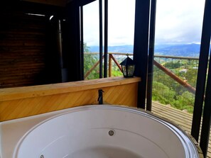 Panoramic-Ferienhütte