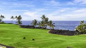 A golf course with a view of the ocean and palm trees. - Holua Kai#8  w/ Private Pool, Ocean & Golf Views, Community Pool & Spa (Kailua-Kona)