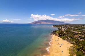 On the beach - Perch - Kamaole Beach Club: Oceanview upgraded one bedroom, walk to beach (Kihei)