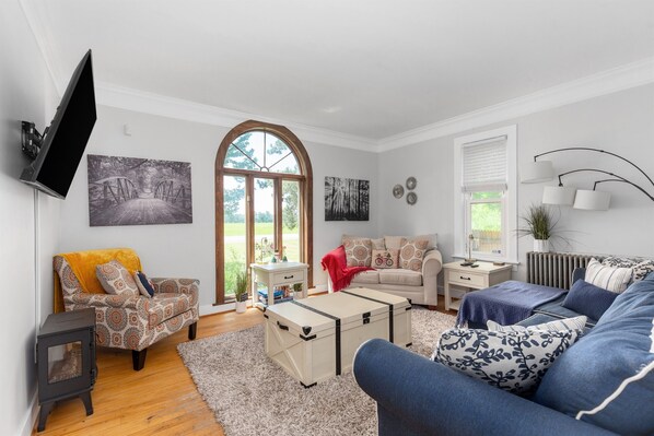 Smart TV, fireplace, books