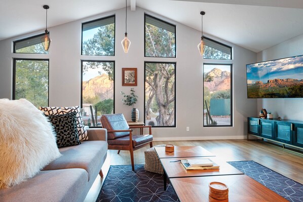 Smart TV, fireplace, books