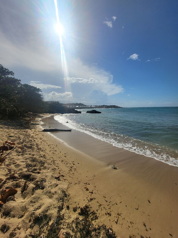 Beach