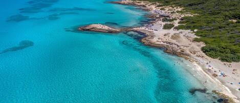 Playa