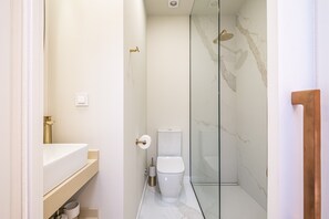 Ducha, secador de pelo y toallas