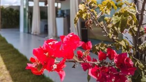 A modern building with large windows and a concrete pathway. - Comfortable and charming house 360m from the beach, Porto Seguro. (Porto Seguro)
