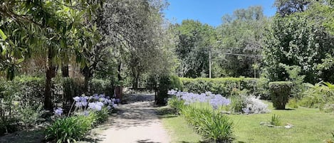 Terrein van de accommodatie
