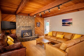 智能電視、壁爐、電子遊戲、書籍