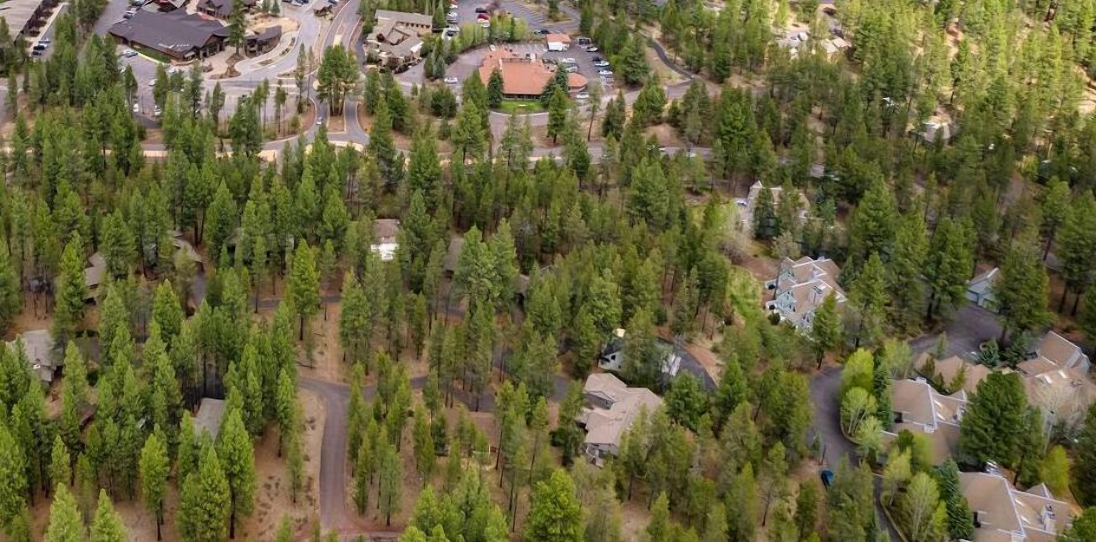 An aerial view of a residential area with houses surrounded by dense forest.