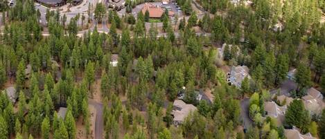 An aerial view of a residential area with houses surrounded by dense forest.