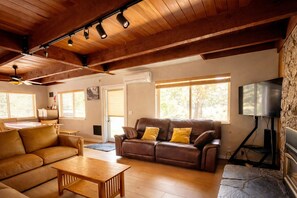 Smart TV, fireplace, video games, books