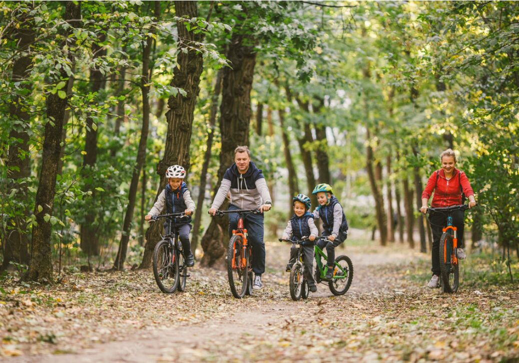 A family riding bicycles on a forest trail.