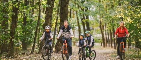 A family riding bicycles on a forest trail.