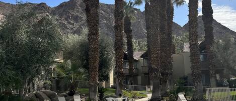 Een buitenzwembad en een verwarmd zwembad