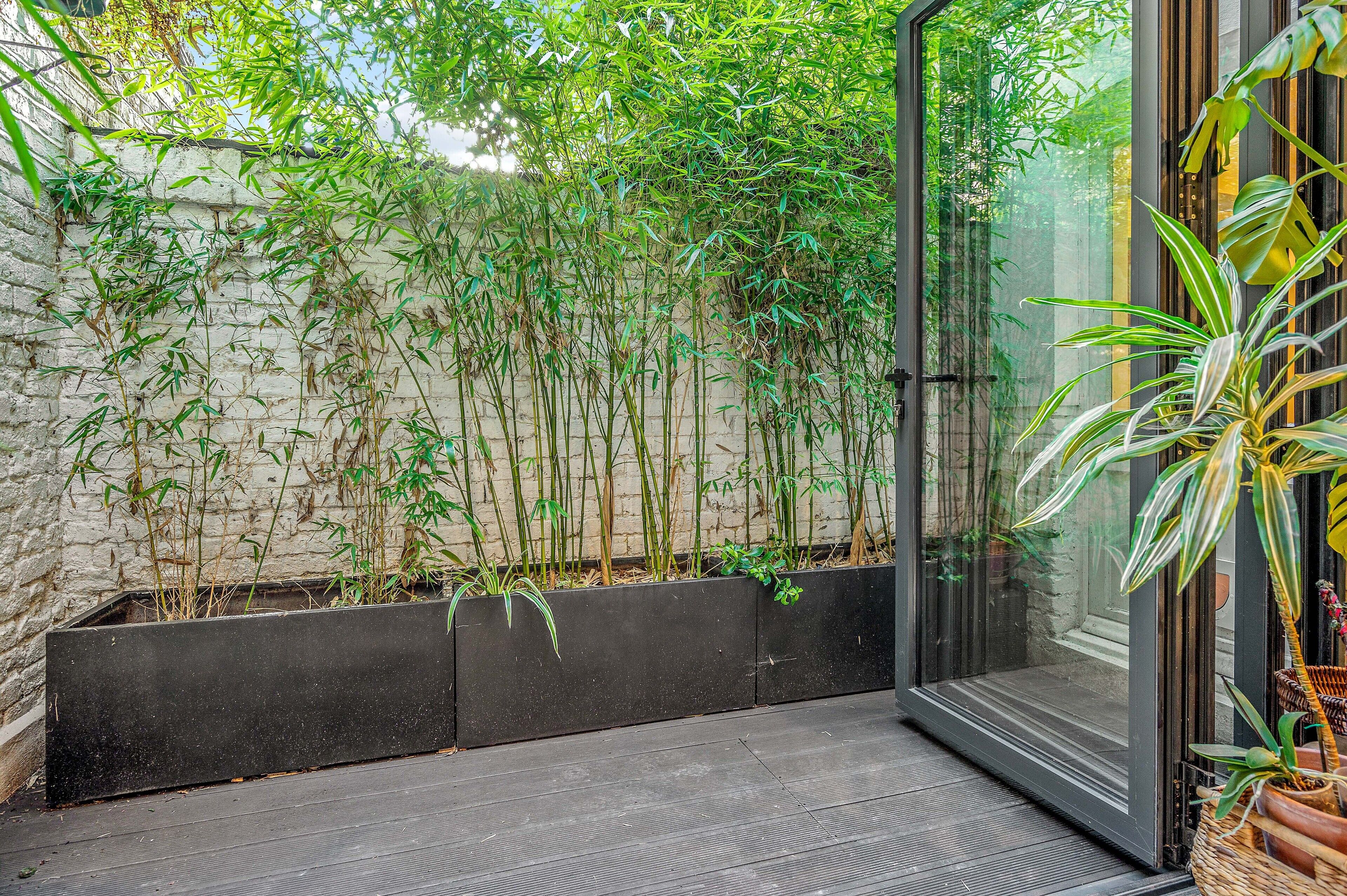 Un interior moderno con un vidrio que da a un balcón, una jardinera de concreto con bambú y suelo de madera.