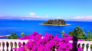 A coastal view with a small island, a clear blue sea, and vibrant purple flowers in the foreground.