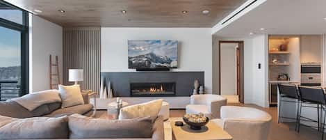 TV, fireplace, books