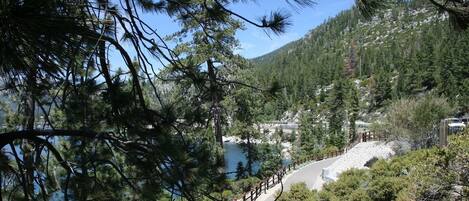 A scenic view of a lake surrounded by dense forest and mountains. A wooden pathway leads to a rocky area.