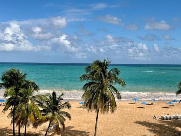 Une plage bordée de palmiers, sous un ciel bleu et dégagé.