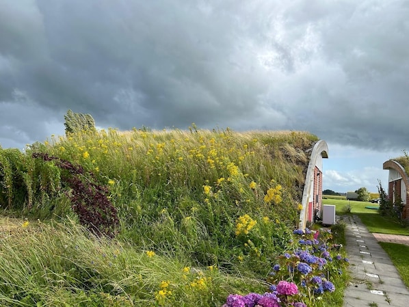 Un sentier menant à une arche en pierre traditionnelle, entourée d’une végétation luxuriante et de fleurs sauvages.