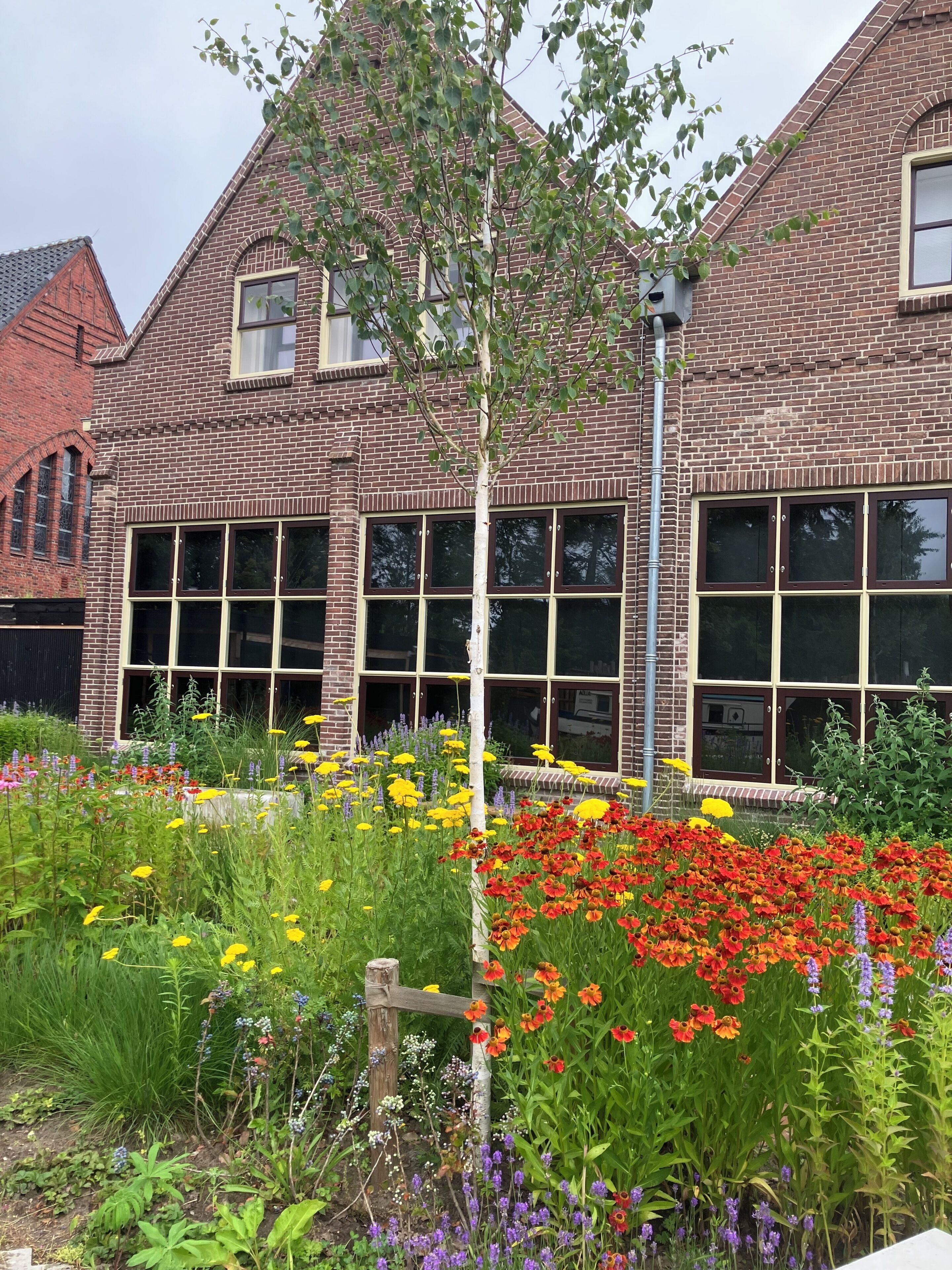 A brick building with large windows and a garden with various flowers.