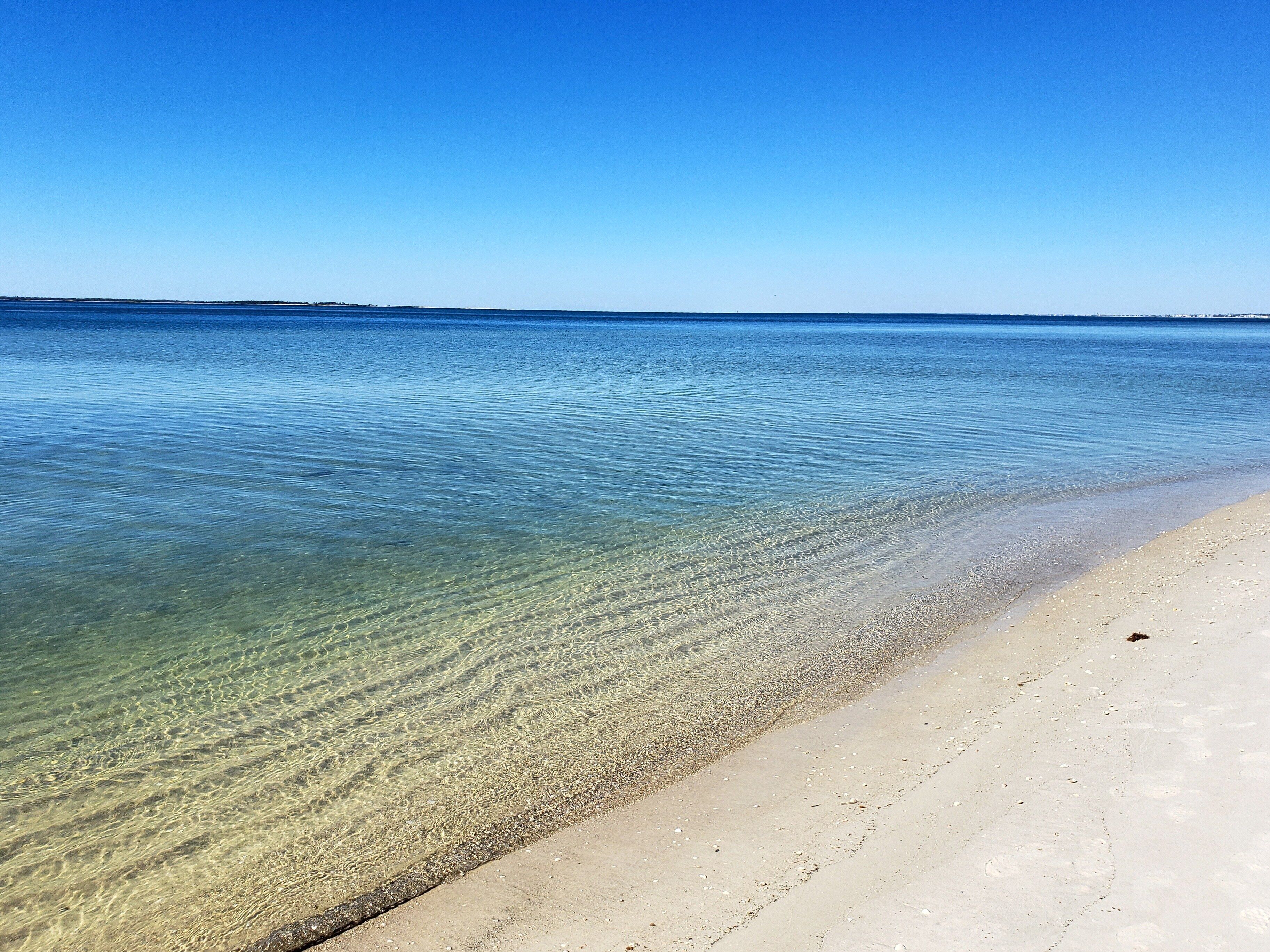 بالقرب من الشاطئ