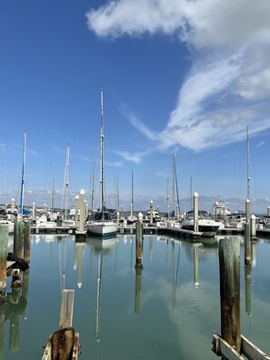 Beautiful boats docks and restaurants in the water near the Selena Monument