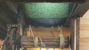 Unclassified image, 4 of 23, button - The Loft at 170 Main - Enough Room for Everyone! (Dansville)