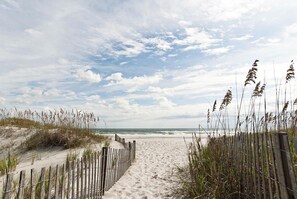 On the beach