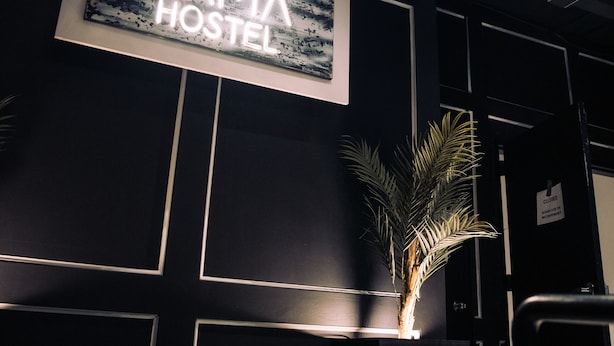 A sign for "KAMA HOSTEL" with a modern design, a potted plant, and a closed door. - Kama Central Park Hostel (New York)