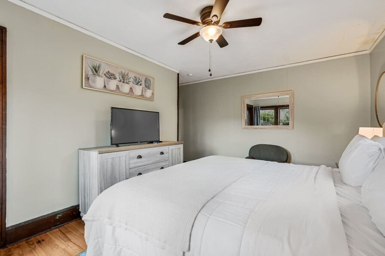A bedroom with a bed, a ceiling fan, a TV on a dresser, a mirror, and a potted plant wall art.