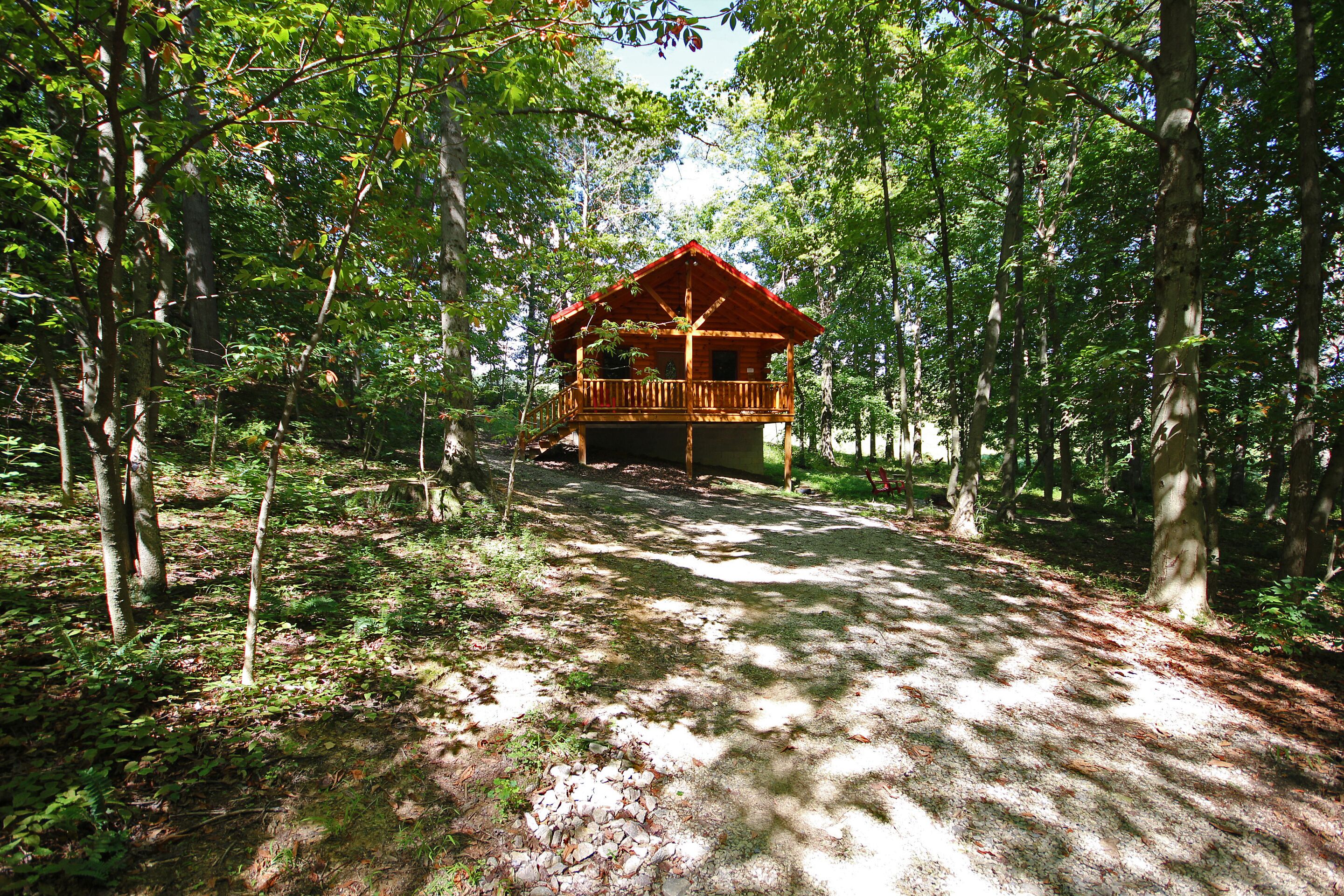 A wooden cabin with a porch, surrounded by trees and a forest floor.